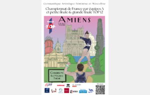 Championnat de France National A équipe
